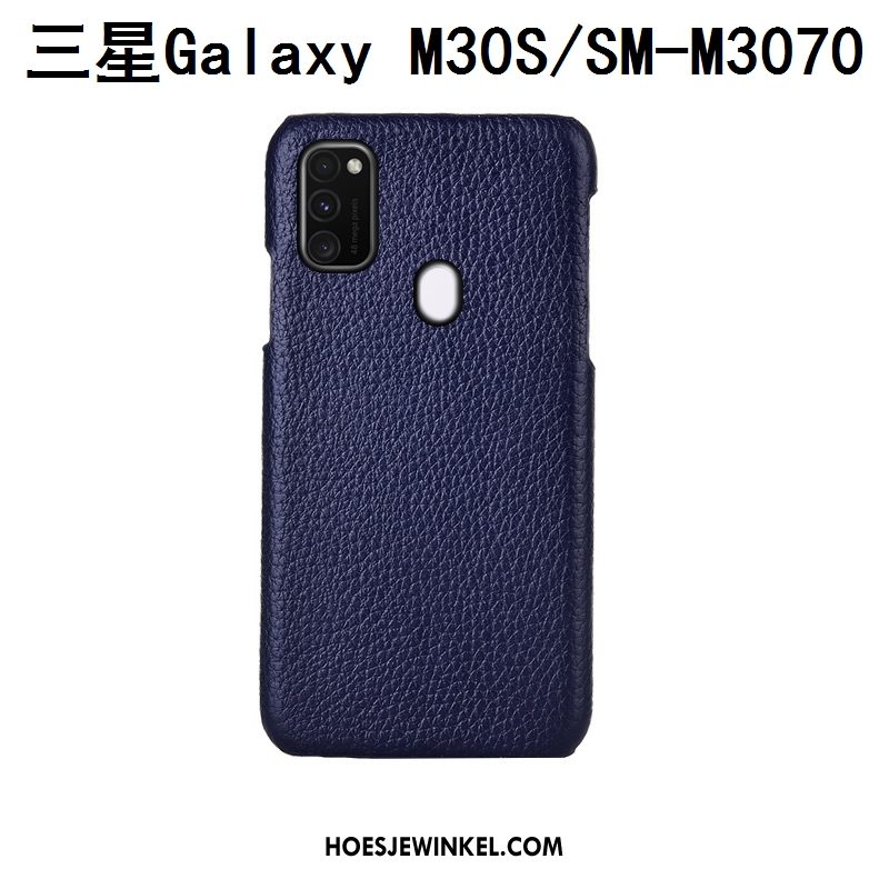 Samsung Galaxy M30s Hoesje Soort Aziatische Vrucht Mode Mobiele Telefoon, Samsung Galaxy M30s Hoesje Luxe Bescherming