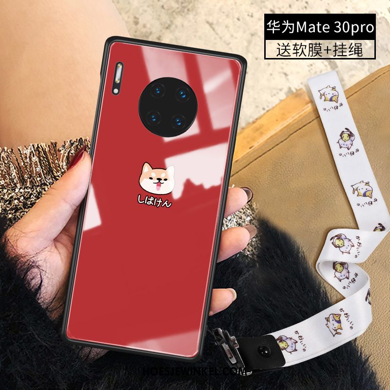 Huawei Mate 30 Pro Hoesje Mooie Mobiele Telefoon Spotprent, Huawei Mate 30 Pro Hoesje Glas Dun