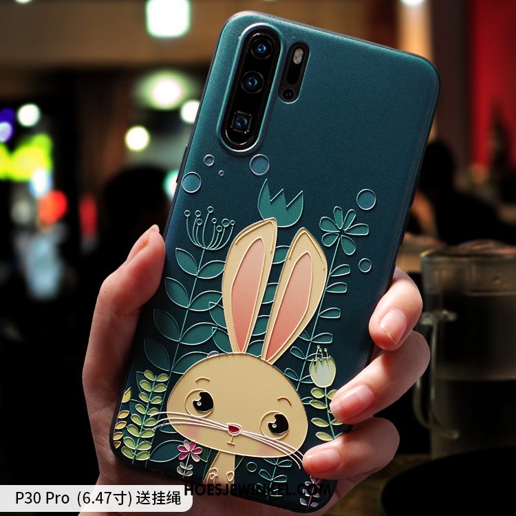 Huawei P30 Pro Hoesje Blauw Spotprent Nieuw, Huawei P30 Pro Hoesje Mooie Schrobben