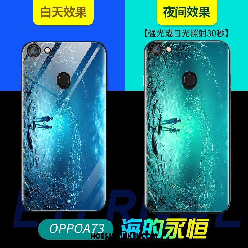 Oppo A73 Hoesje Zacht Hoes Net Red, Oppo A73 Hoesje Glas Lichtende