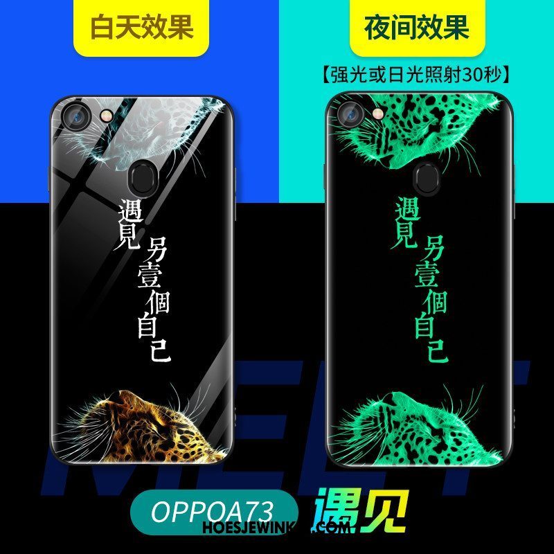 Oppo A73 Hoesje Zacht Hoes Net Red, Oppo A73 Hoesje Glas Lichtende