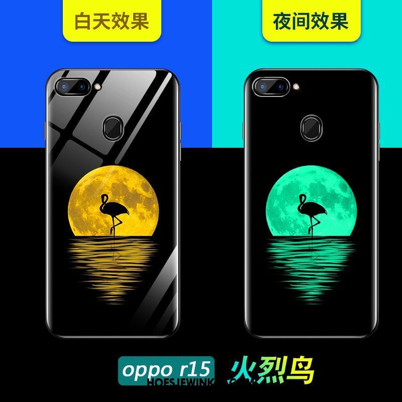 Oppo R15 Hoesje Nieuw All Inclusive Mooie, Oppo R15 Hoesje Trendy Merk Glas