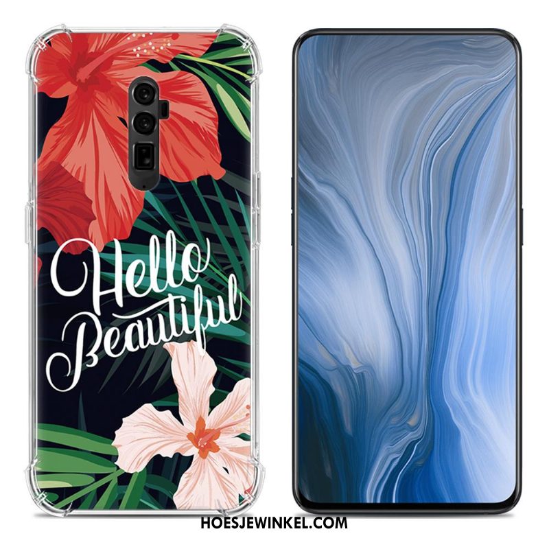 Oppo Reno 10x Zoom Hoesje Scheppend Mobiele Telefoon All Inclusive, Oppo Reno 10x Zoom Hoesje Geschilderd Gasbag