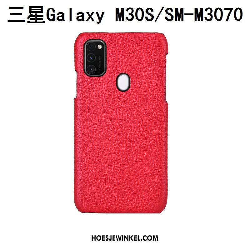 Samsung Galaxy M30s Hoesje Soort Aziatische Vrucht Mode Mobiele Telefoon, Samsung Galaxy M30s Hoesje Luxe Bescherming