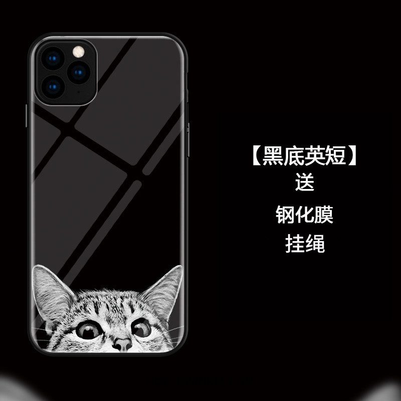 iPhone 11 Pro Hoesje Kat Bescherming Mode, iPhone 11 Pro Hoesje All Inclusive Hoes