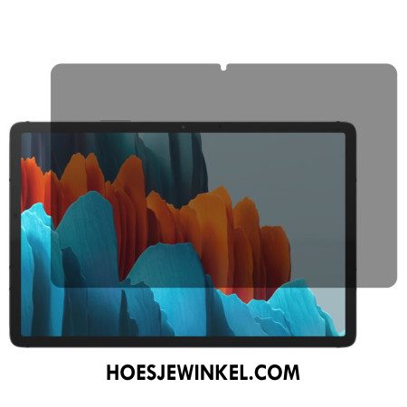 Anti-spionage Gehard Glazen Schermbeschermer Voor Samsung Galaxy Tab S11