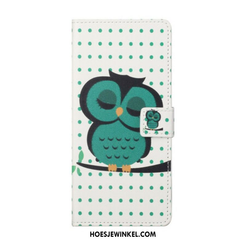 Flip Case voor iPhone 13 Pro Slapende Uil