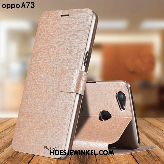 Oppo A73 Hoesje Goud Persoonlijk Bescherming, Oppo A73 Hoesje Leren Etui All Inclusive