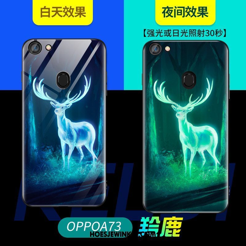 Oppo A73 Hoesje Zacht Hoes Net Red, Oppo A73 Hoesje Glas Lichtende