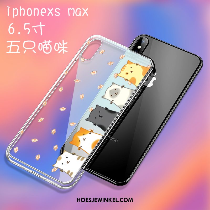 iPhone Xs Max Hoesje High End Hoes Glas, iPhone Xs Max Hoesje Doorzichtig Spotprent